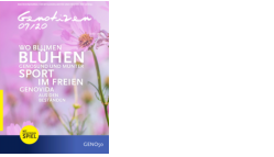 Genotizen Juli 2020 (PDF-Datei, Größe 2.148 KB)