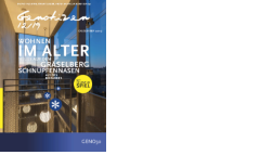 Genotizen Dez 2019 (PDF-Datei, Grösse 2.252 KB)