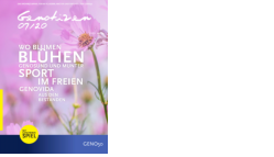 Genotizen Juli 2020 (PDF-Datei, Grösse 2.148 KB)