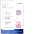 GENO50  Sparkonditionen PDF