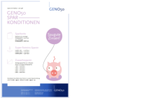 GENO50  Sparkonditionen PDF